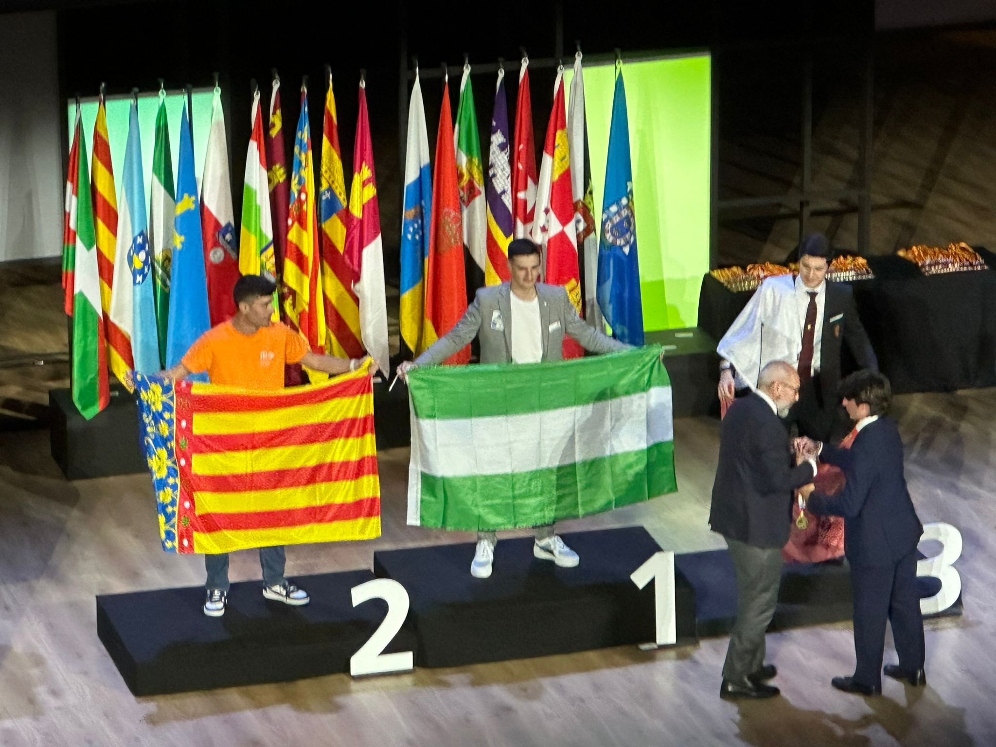 Imagen de la noticia: Medalla de oro en SpainSkills 2024